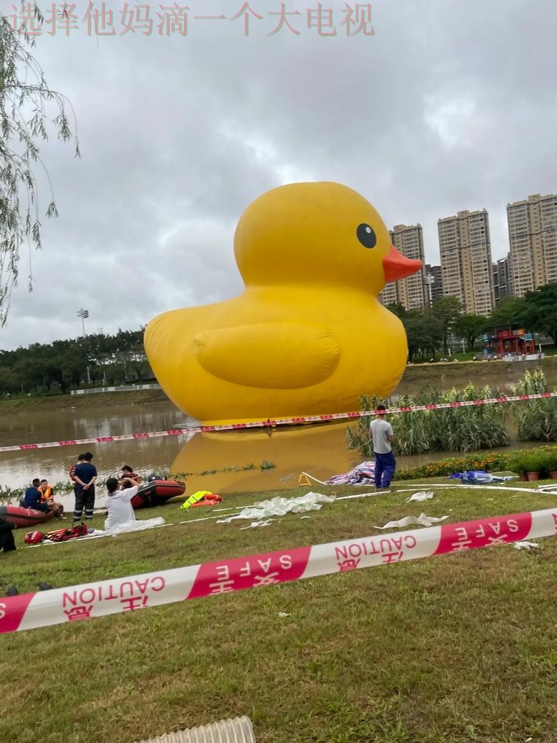 半岛体育在哪里玩