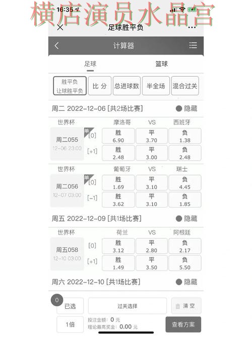 世界杯买球app胜平负玩法怎么研究全攻略
